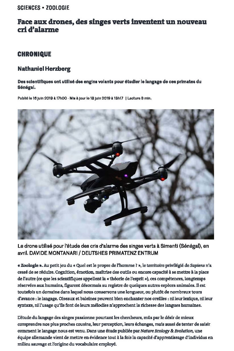 Image de l'article Face aux drones, des singes verts inventent un nouveau cri d'alarme.
